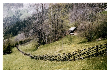 paisaje austriaco